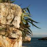 Dopo qualche passo ecco l� la scritta: si trova sulla sommit� di un costone di roccia ricoperto da macchia mediterranea